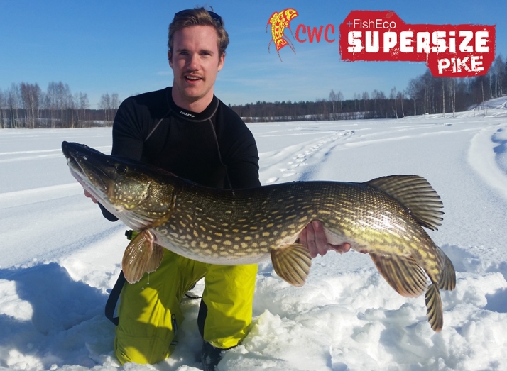 Fredrik Sjögren kniper en av årets sista iskrokodiler på 123 cm och 12240 gram!
