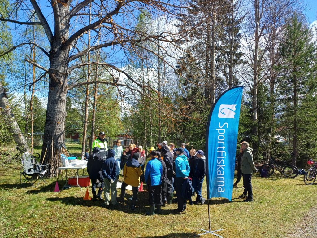 Barn och ungdomar hjälper fisken i Härjedalen genom Skolbäcken!