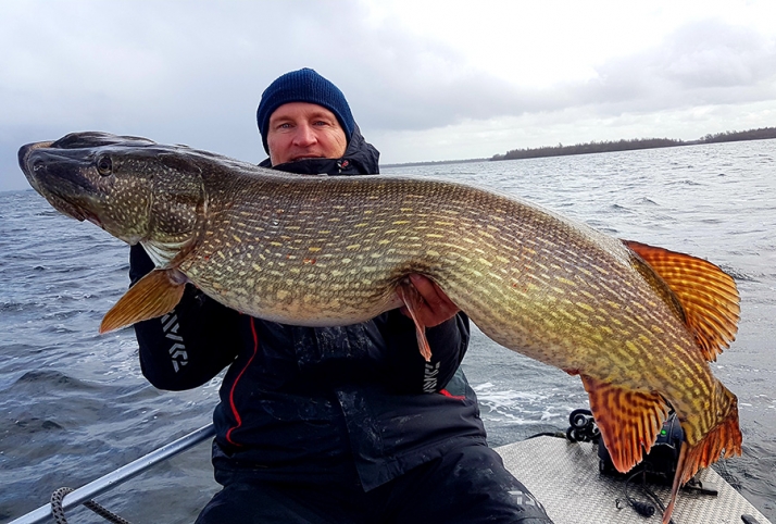 Megagädda – hela 137 cm och 21200 gram!