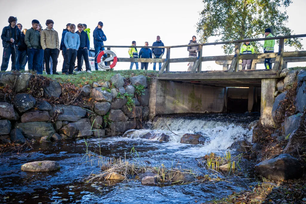 Nu strömmar vattnet åter fritt genom Forsmarks bruk!