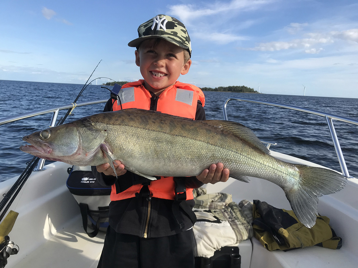 Kraftsamling kring livskraftiga ekosystem och hållbart fiske i Vänern!