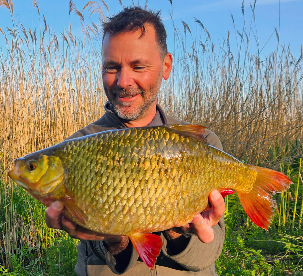Nytt sarvrekord igen – Krause slår till med gigantisk fisk!