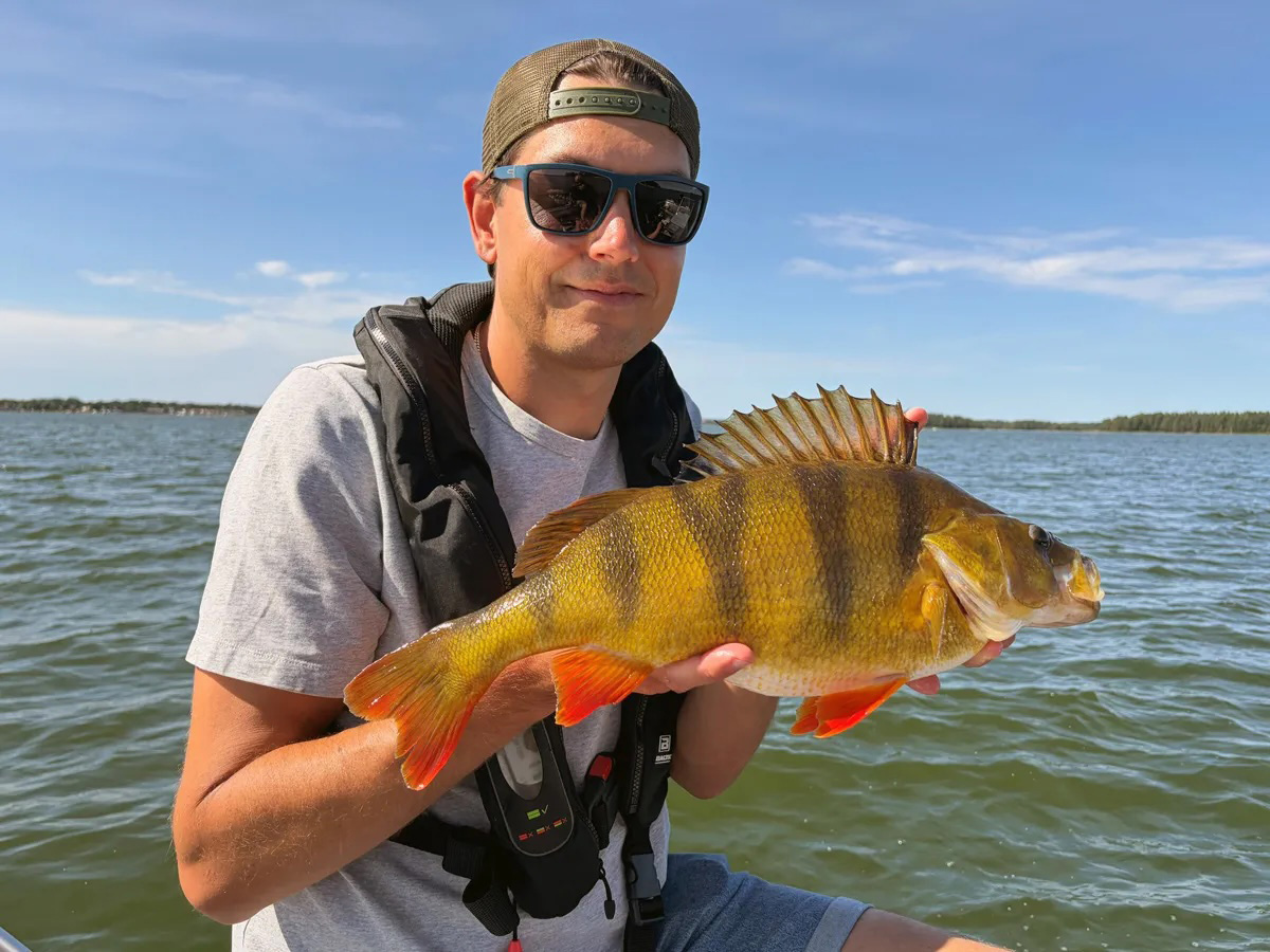 Förslag till nya fiskeregler för ostkusten: ”Saknas kunskapsunderlag”