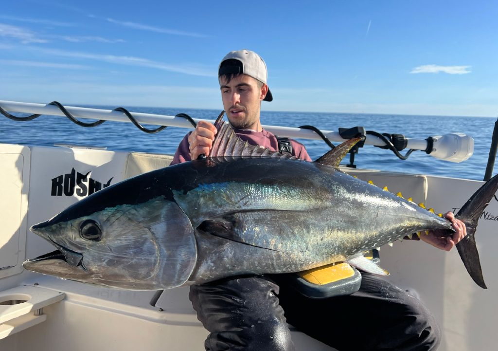 Så kan du fiska blåfenad tonfisk i sommar! | FishEco