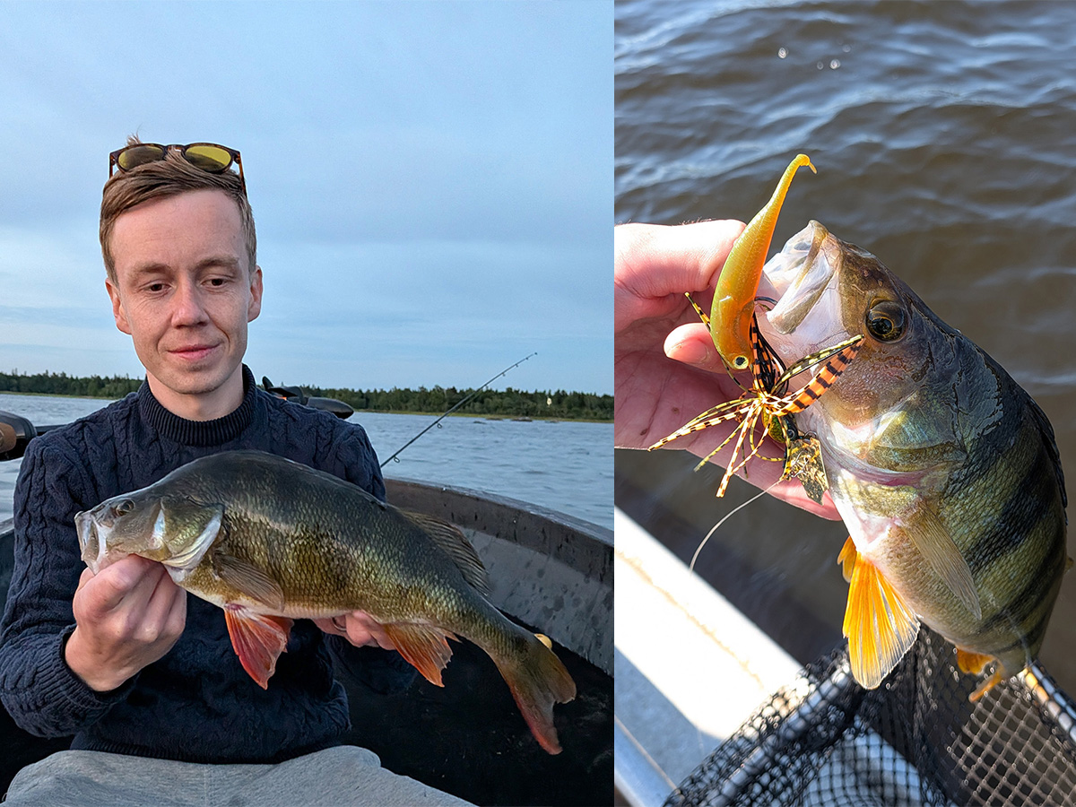 Chatterbait – därför är det så effektivt för abborre!