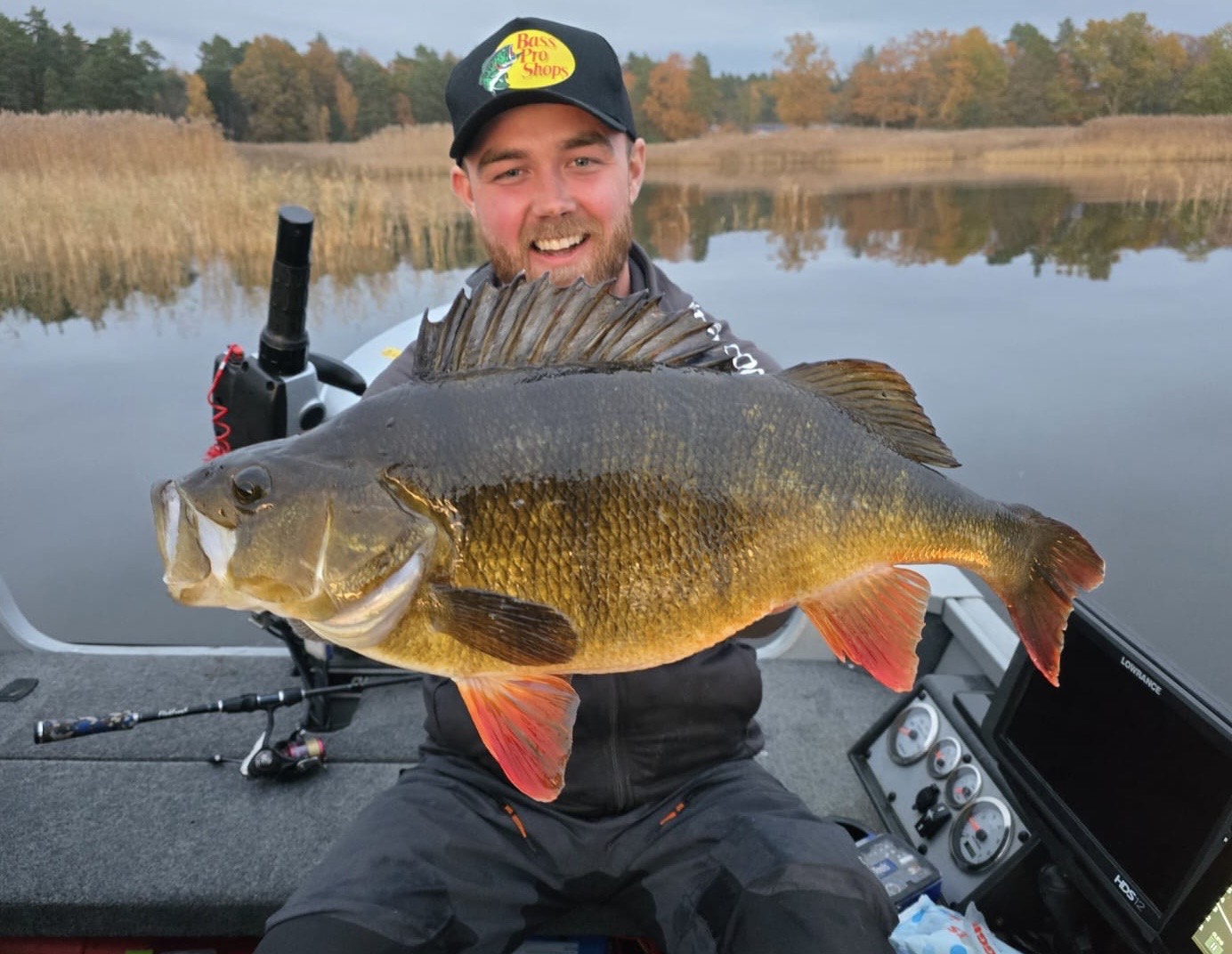 Absolut drömabborre för Austin Jonsson!