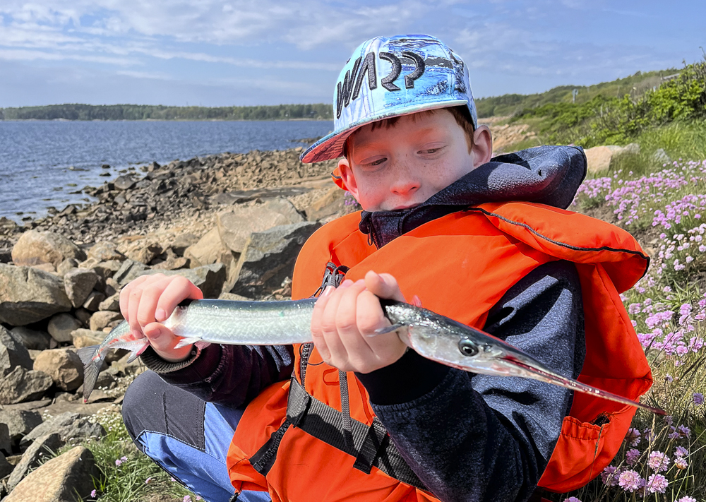 Havets mångfald i fokus – Fiskeskolan i Grötvik blev en succé!