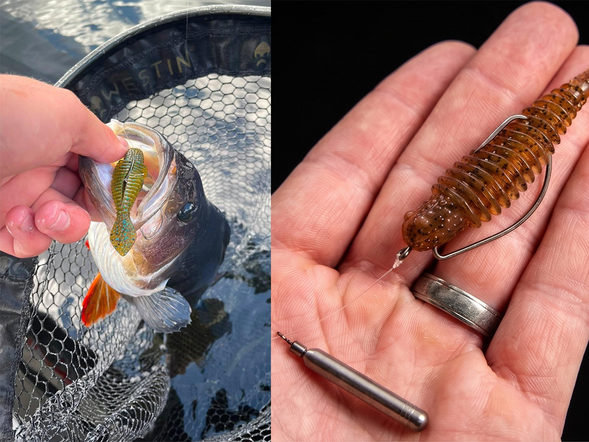Senaste supertekniken för abborrfisket – så fiskar du Free Rig!