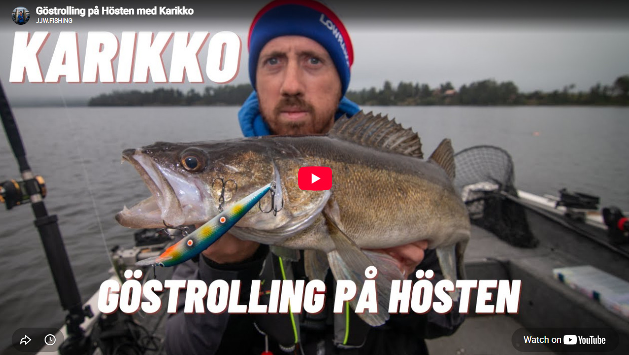 Så trollar du gös långt in på hösten!