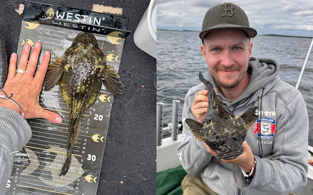 Foto: Storfiskregistret