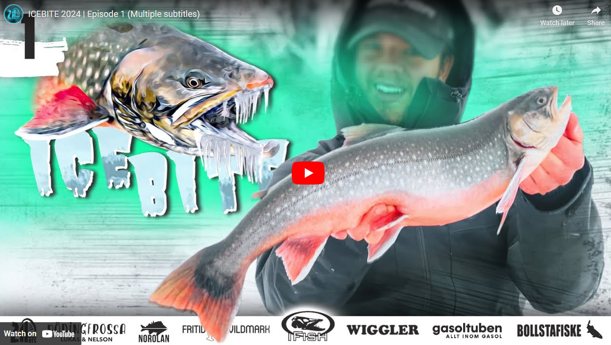 ICEBITE 2024 – Isfisketävling på Youtube!
