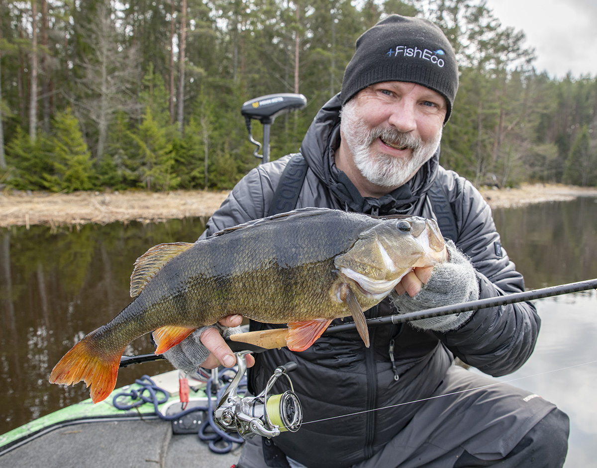 Tips och trix för abborrfisket med Ned-jiggar!