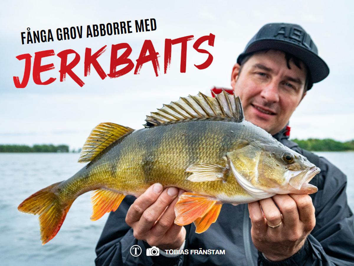 Så fiskar du jerkbait för stor abborre!
