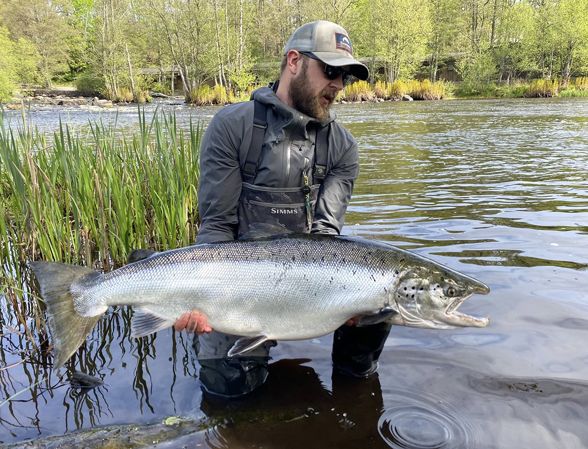 Nu fredas alla lax-och havsöringshonor i Mörrumsån!