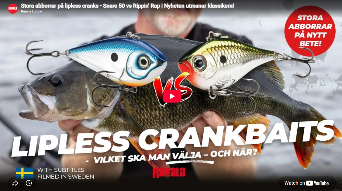 Stora abborrar på lipless cranks – Snare 50 vs Rippin’ Rap!