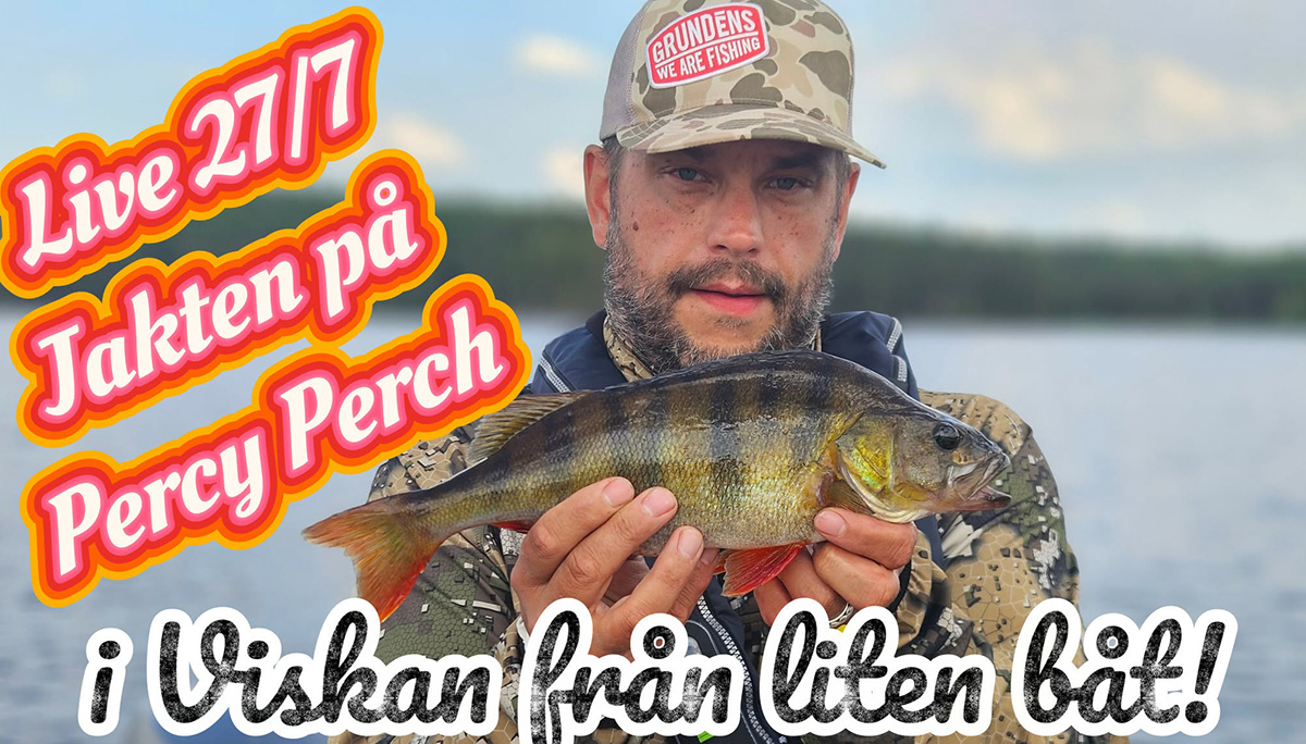 Följ med ut på ett nytt abborräventyr på Viskan – LIVE!