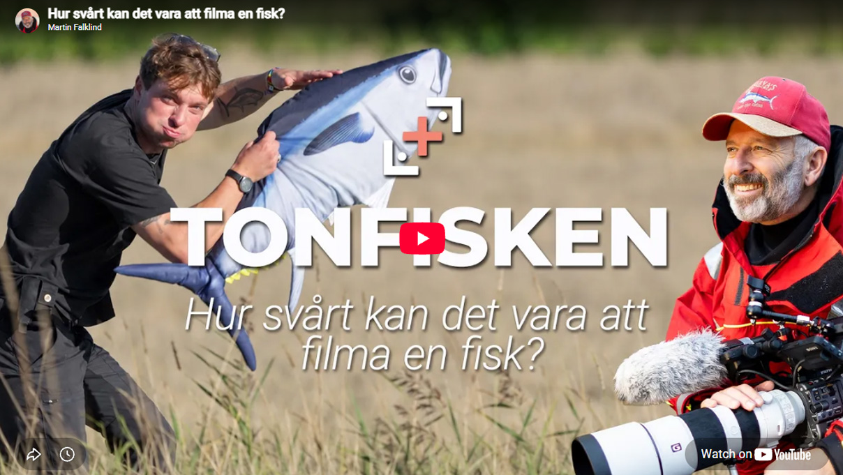 Hur svårt kan det vara att filma en fisk?