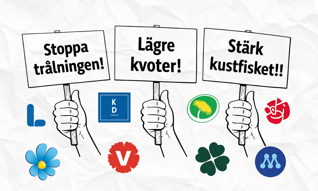 Kommer partierna hålla sina löften för Östersjöfisken?