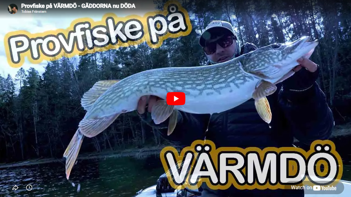 Provfiske på VÄRMDÖ – GÄDDORNA nu DÖDA!