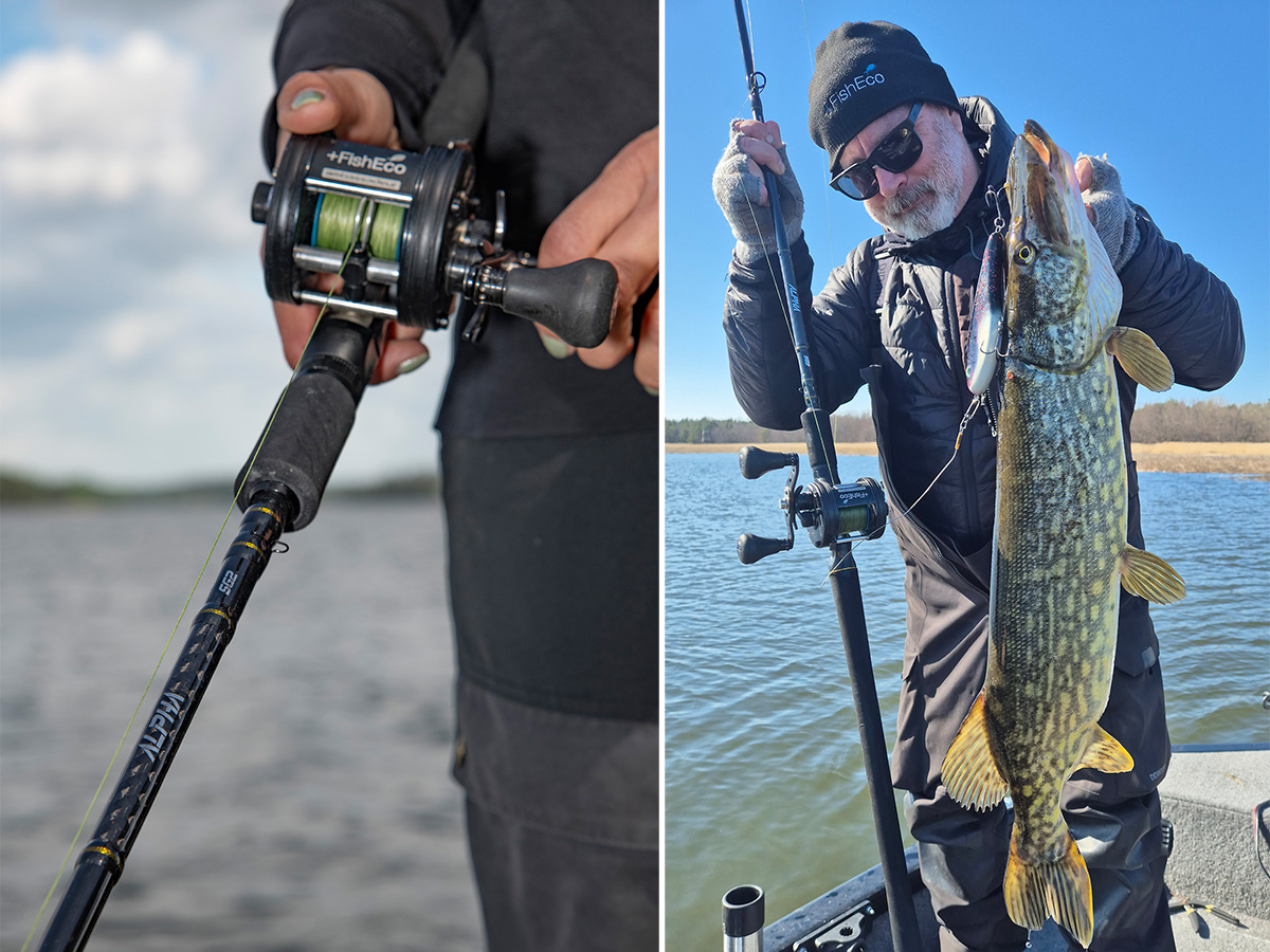 Vi har testat gäddspöet Savage Gear Alpha Sg2 Swimbait!