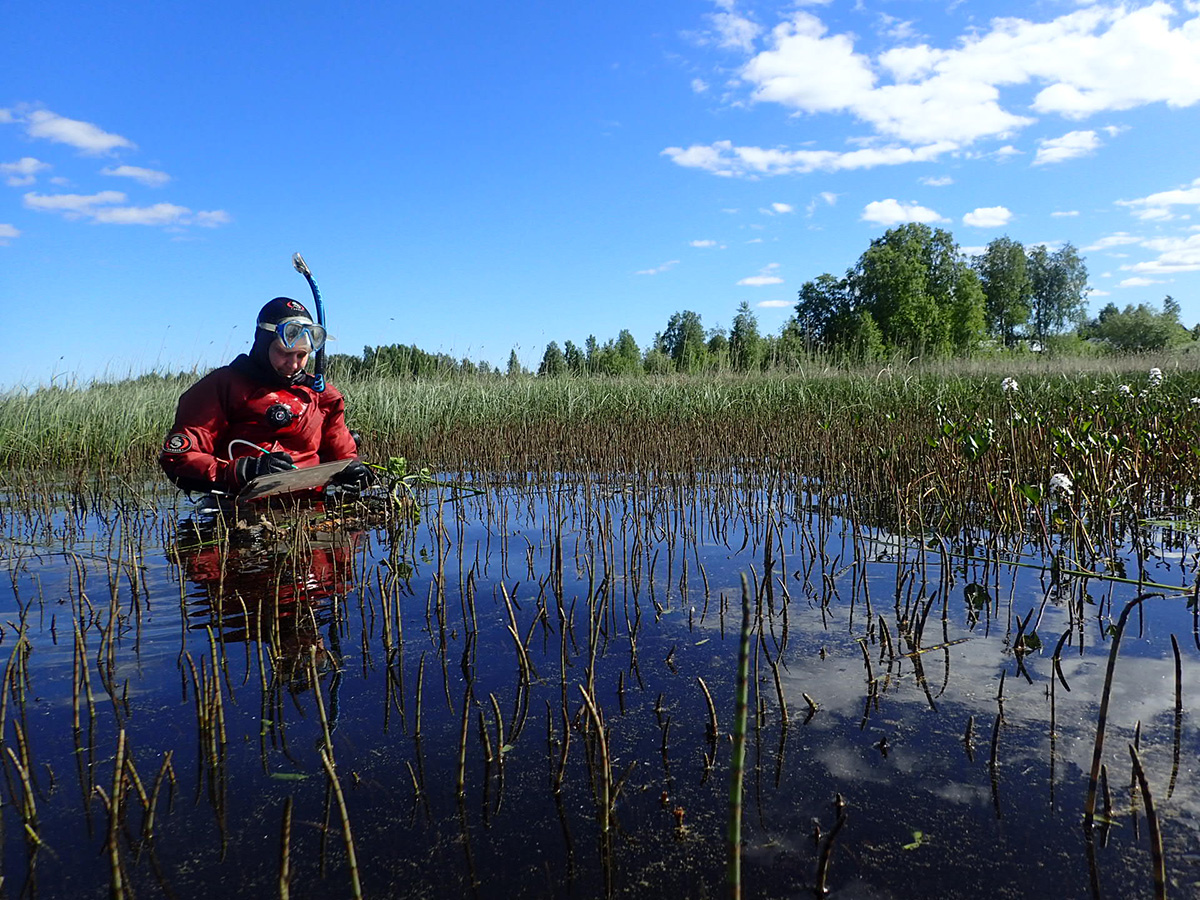 Foto: Länsstyrelsen Norrbotten/ PM