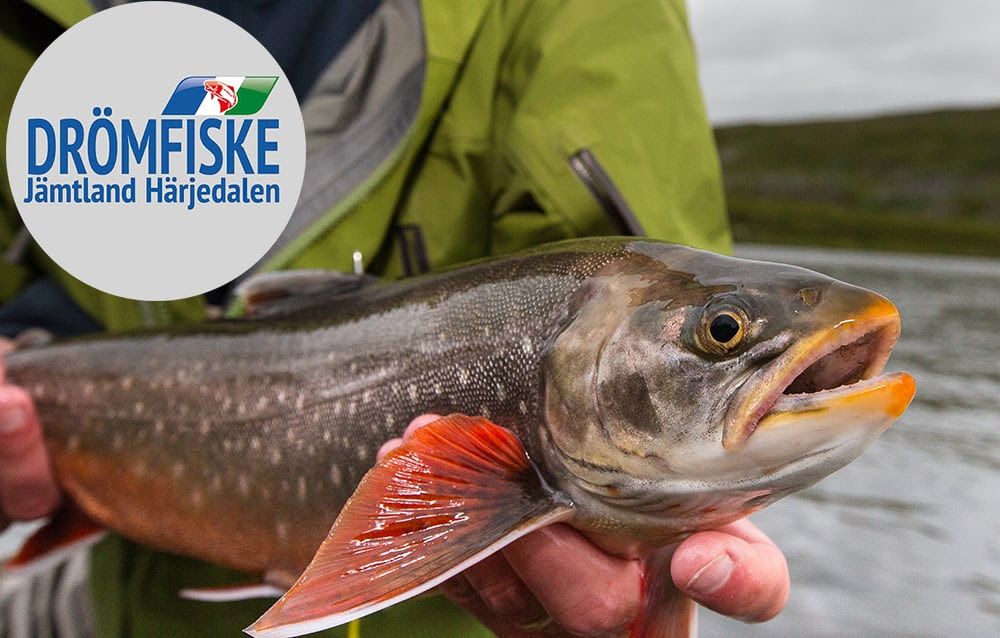 Tävla om drömfiske i Jämtland!