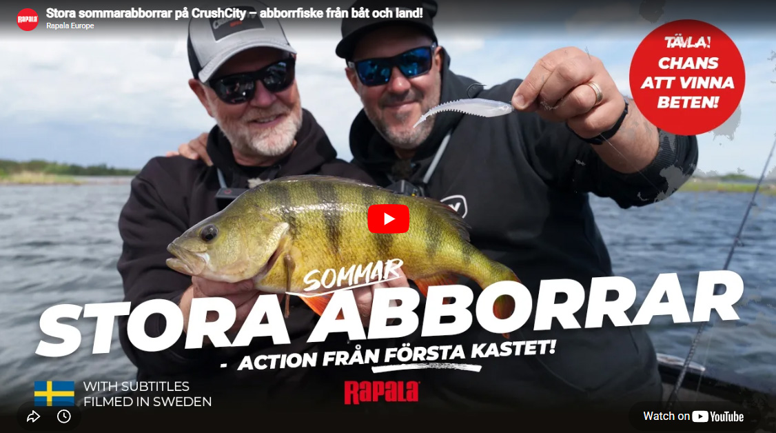 Stora sommarabborrar på CrushCity – abborrfiske från båt och land!