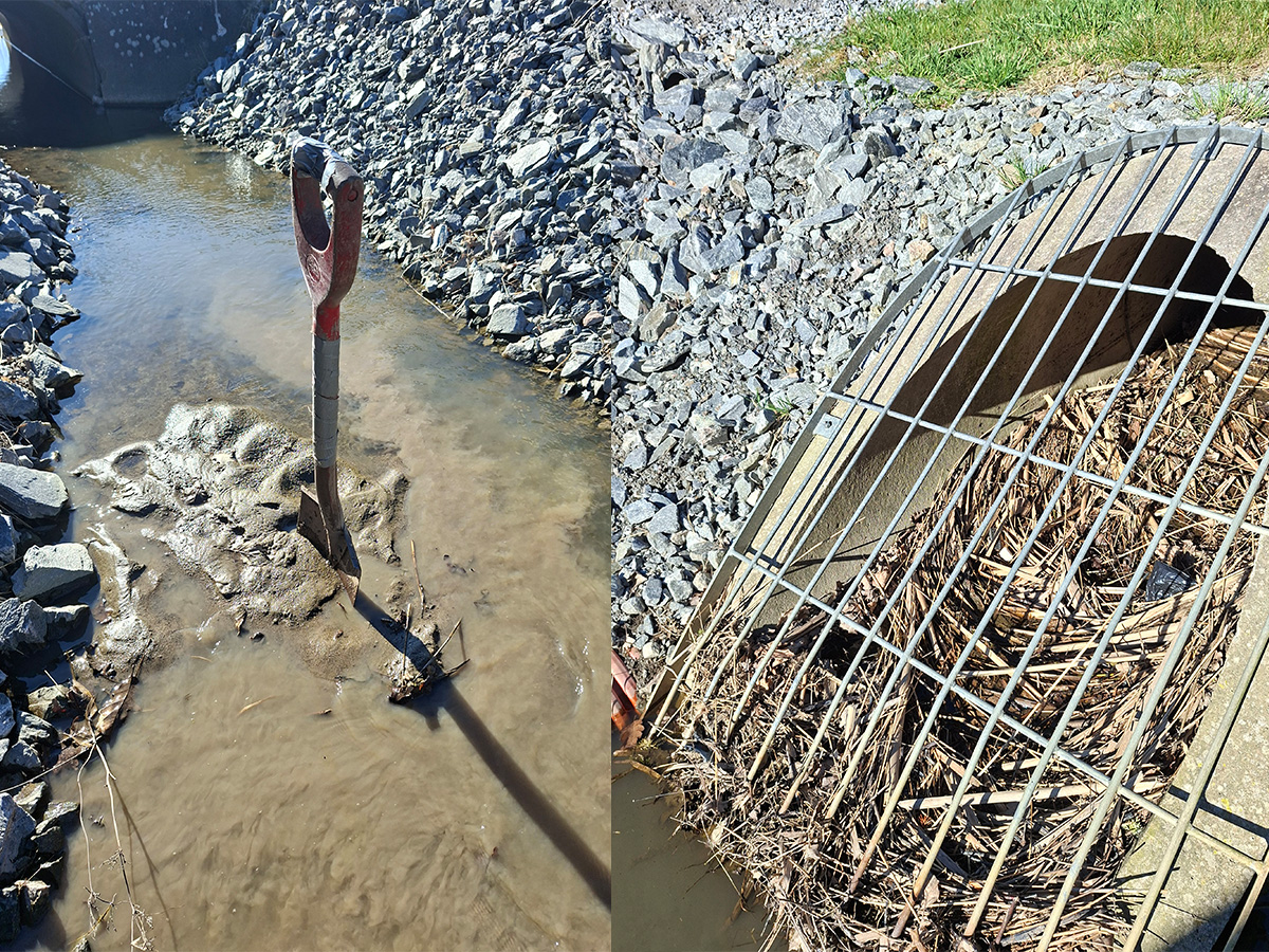 Så får vi inte hantera våra havsöringar!